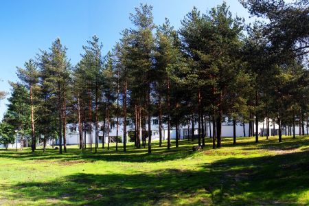 Внешний вид