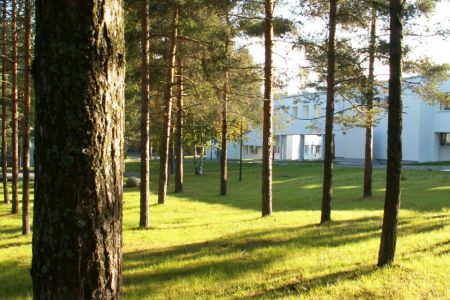 Внешний вид