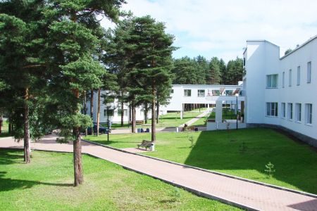 Внешний вид