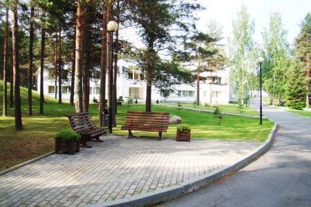 Внешний вид