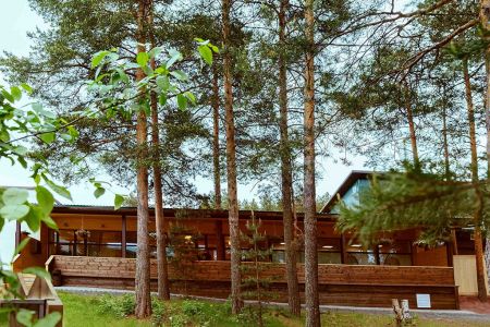 Внешний вид